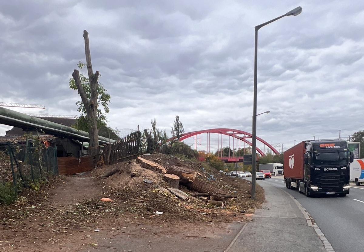 Günzel 15.10 zurück auf los Bürgerbegehren FSW Sharepic Insta